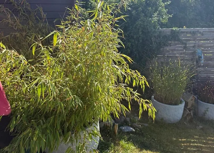 度假居 Herrmannsruh *